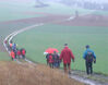 Die Wanderschar kurz vorm Steinbachtal